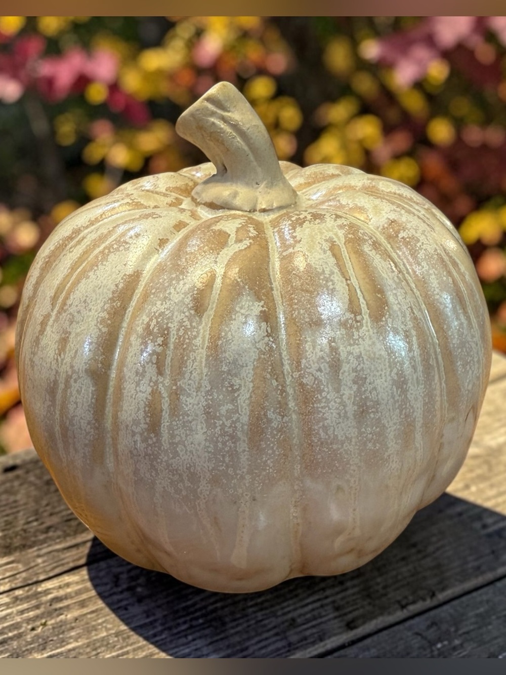 NATURAL WASHED CERAMIC PUMPKIN - MEDIUM Fall Decor 1 of 2